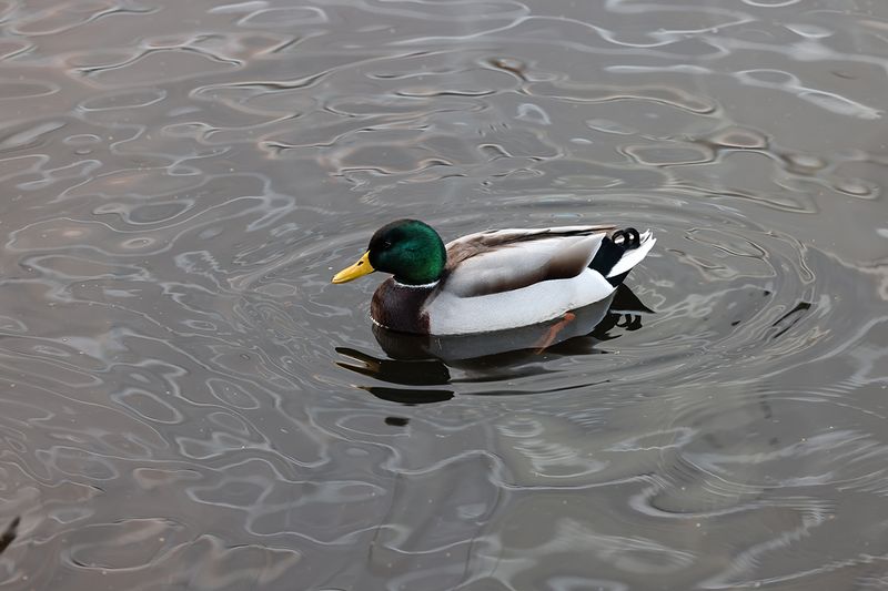 0376_R5_12848.JPG