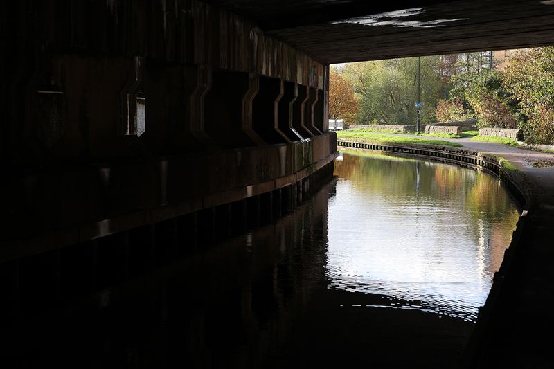 0385_R5_12861.JPG