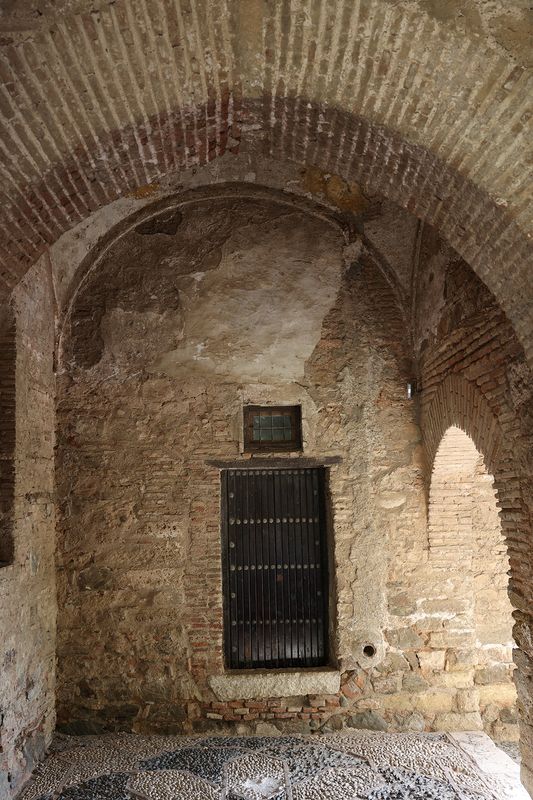 0233_RF_62036.JPG