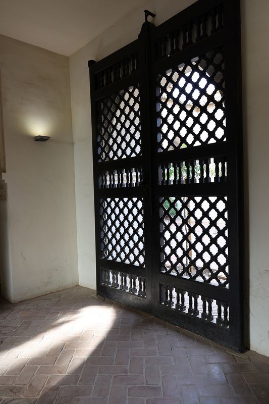 0242_RF_62091.JPG