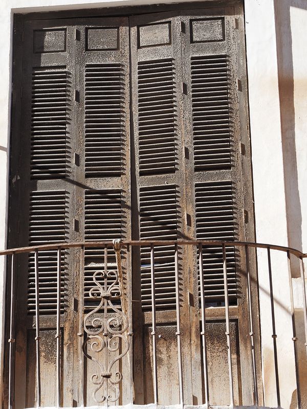 0292_OM100728.JPG