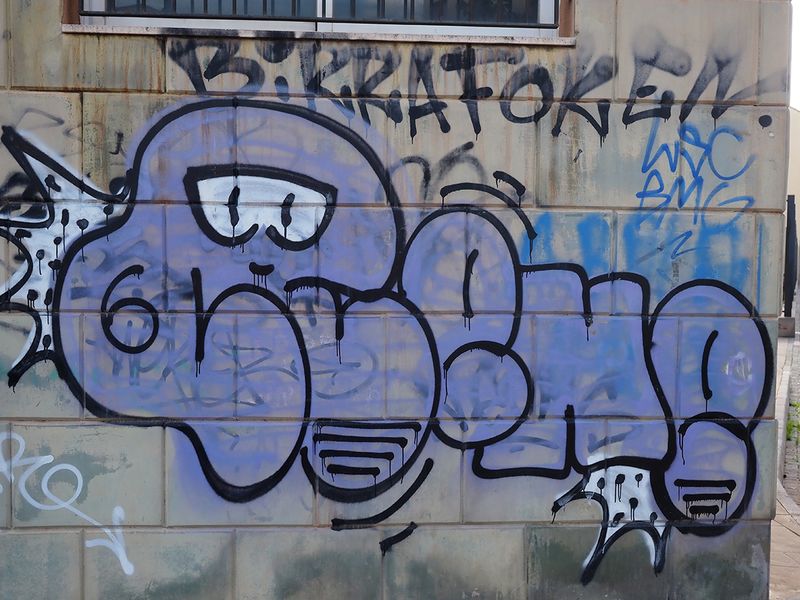 0673_OM1A1102.JPG