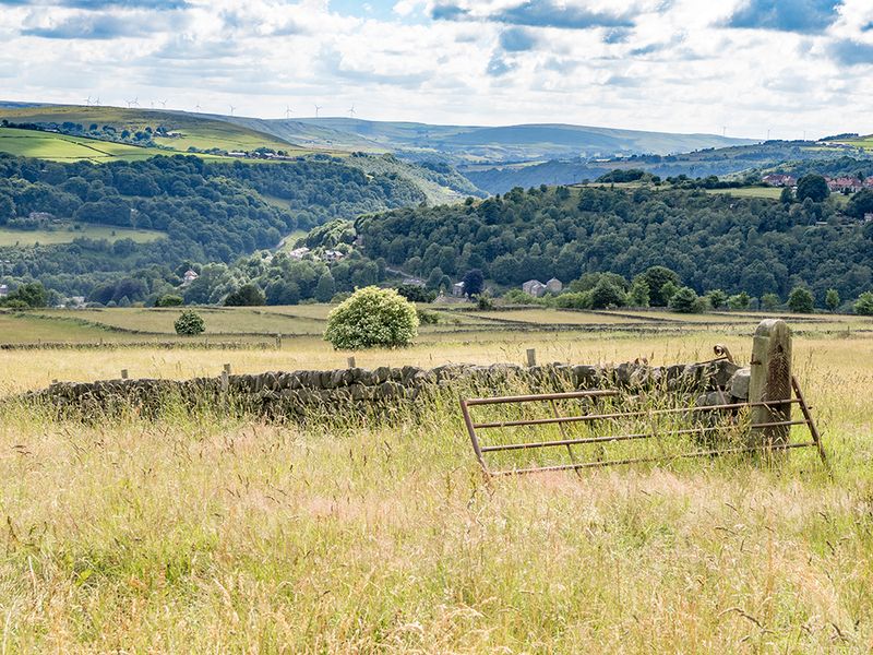 120_P_Hebden_OM1B2314.jpg