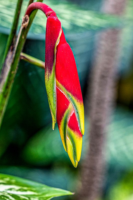 086_S_P_R5_12085.jpg