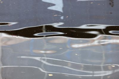 0378_R5_12851.JPG