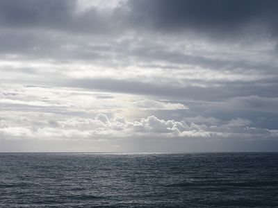 009_OM100013.JPG