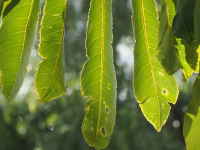018_OM110096.JPG