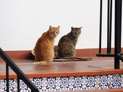 022_OM110108.JPG