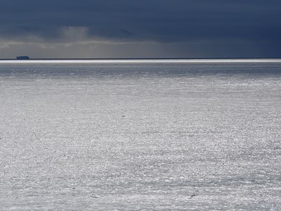 025_OM110126.JPG