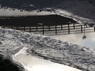 033_OM110182.JPG