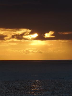 037_OM110196.JPG