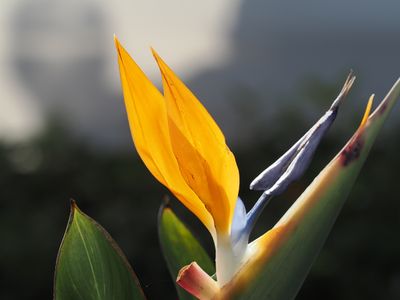041_OM110250.JPG