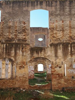 093_OM110584.JPG