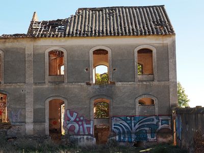 097_OM110652.JPG