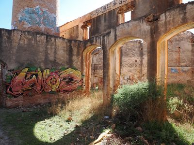 099_OM110703.JPG