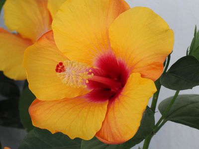 110_OM110791.JPG