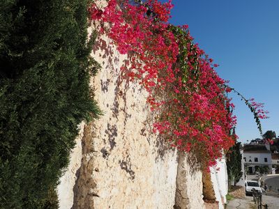 112_OM110801.JPG
