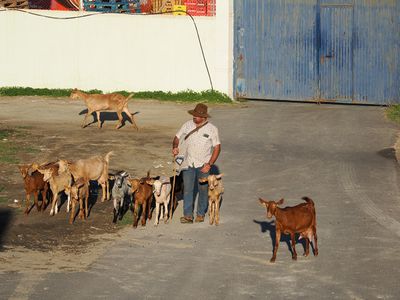 113_OM110808.JPG