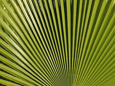 114_OM110815.JPG