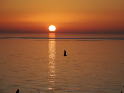 118_OM110825.JPG