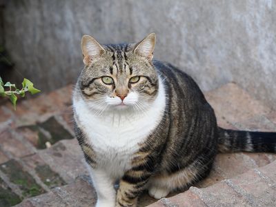 131_OM110874.JPG