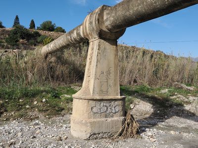133_OM110886.JPG