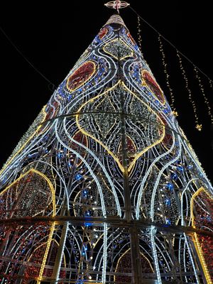 152_OM111038.JPG