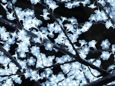 153_OM111045.JPG