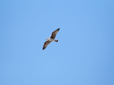 198_OM111191.JPG
