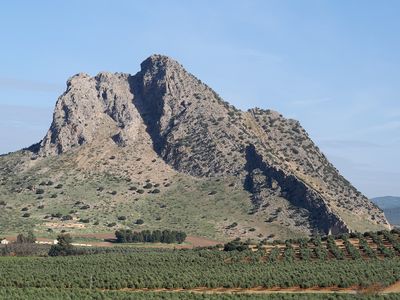 212_OM111212.JPG