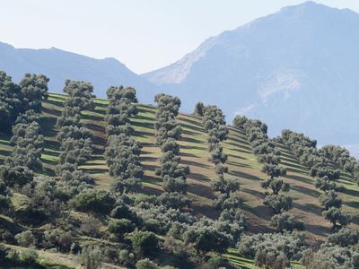 213_OM111216.JPG