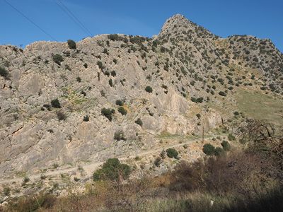 215_OM1B0375.JPG