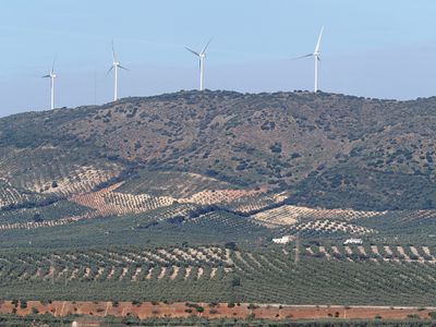218_OM111240.JPG