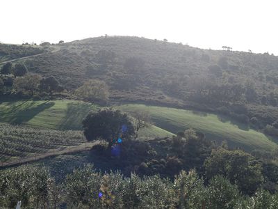 244_OM111268.JPG