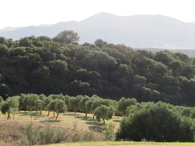 245_OM111280.JPG
