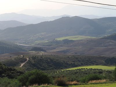 246_OM111281.JPG