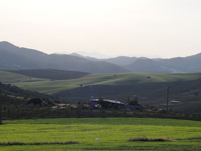 256_OM111296.JPG
