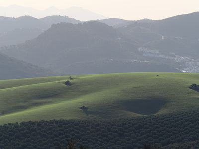 258_OM111299.JPG
