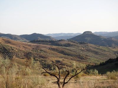 260_OM1B0508.JPG