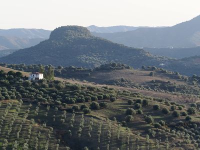 261_OM111316.JPG