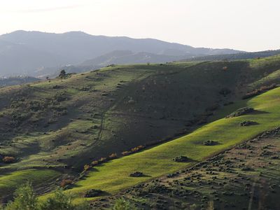263_OM111322.JPG