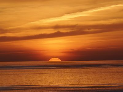318_OM111394.JPG