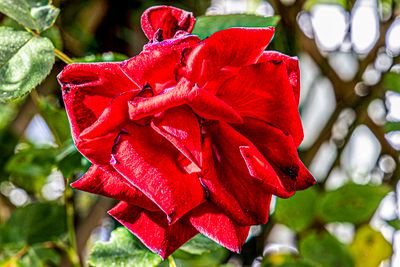058_S_P_R6_26253.jpg