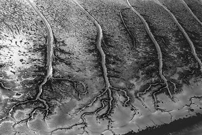 Aerial_02_A_P_BW_Q20C0116.jpg