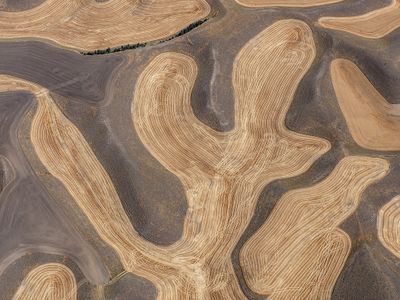 Aerial_119_A_P_A1010377.jpg