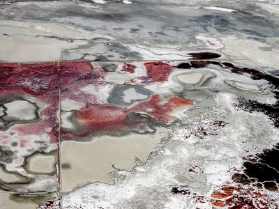 Aerial_206_A_P_OM1B3517.jpg
