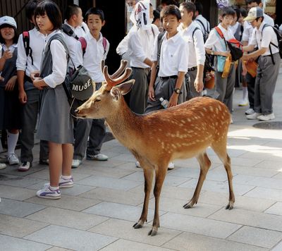 Asia_008_A_P_Q20C4742.jpg