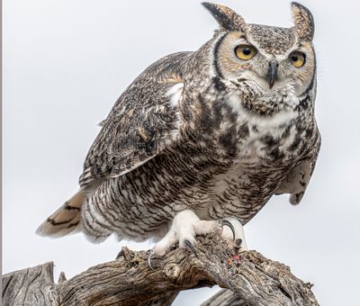 USA_West_301_A_P_PC310516.jpg