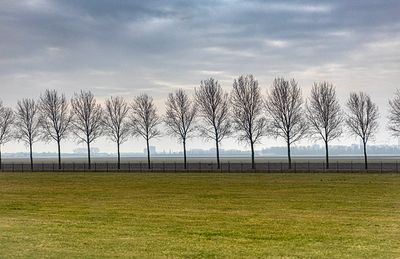 001_P_R6_20419 - Copy.jpg