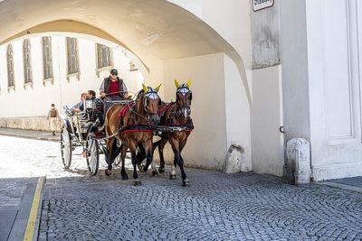 084_Vienna_P_R6_24471.jpg
